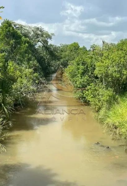 Fazenda - Prata - Zona Rural - Foto 5