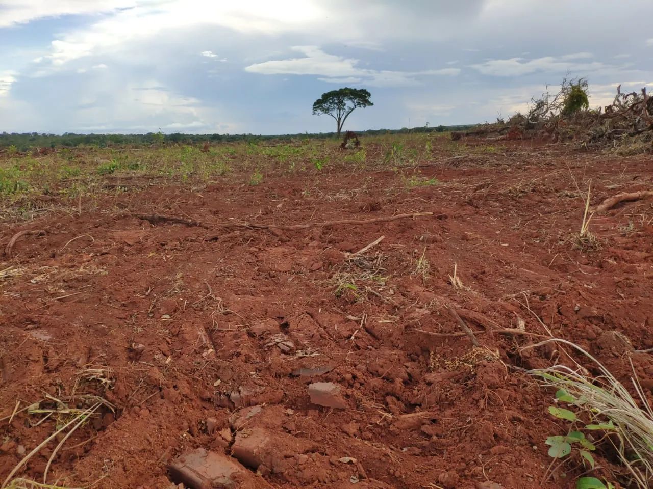 Vendo fazenda em Tocantins - Foto 3