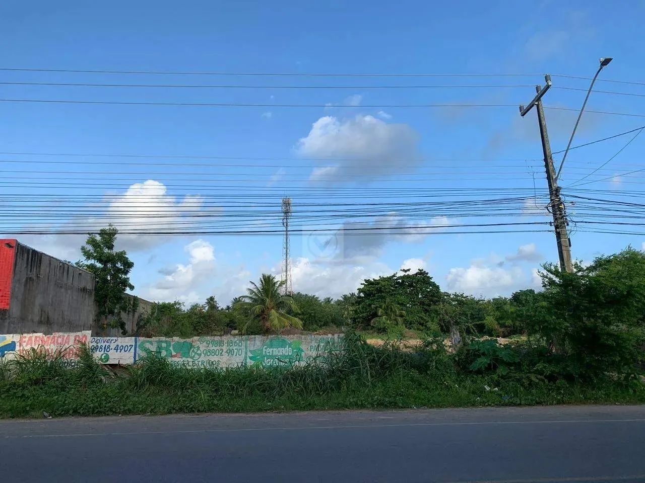 Excelente terreno para abri o seu negócio. - Foto 2