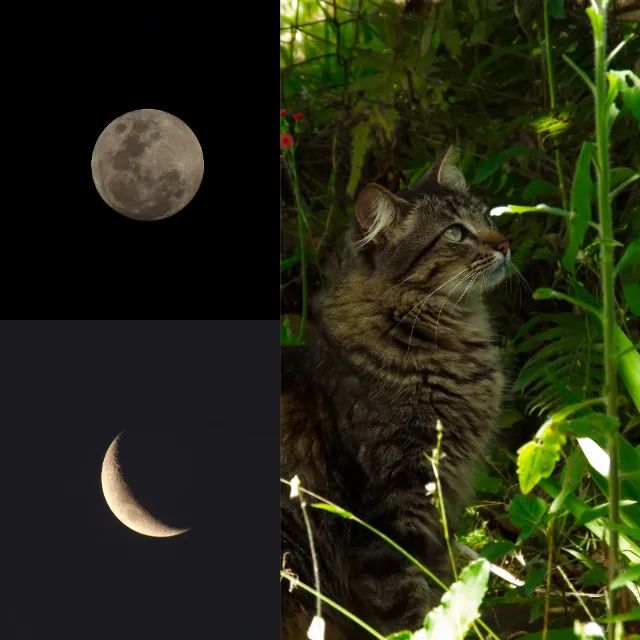 Vendo Fujifilm Finepix S4080 - Foto 6