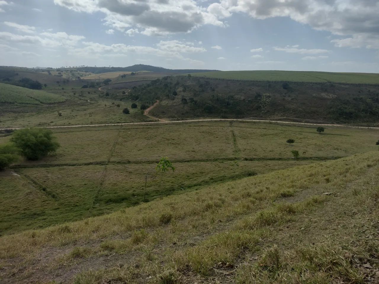 propriedade capela 22 tares, 350 mil
