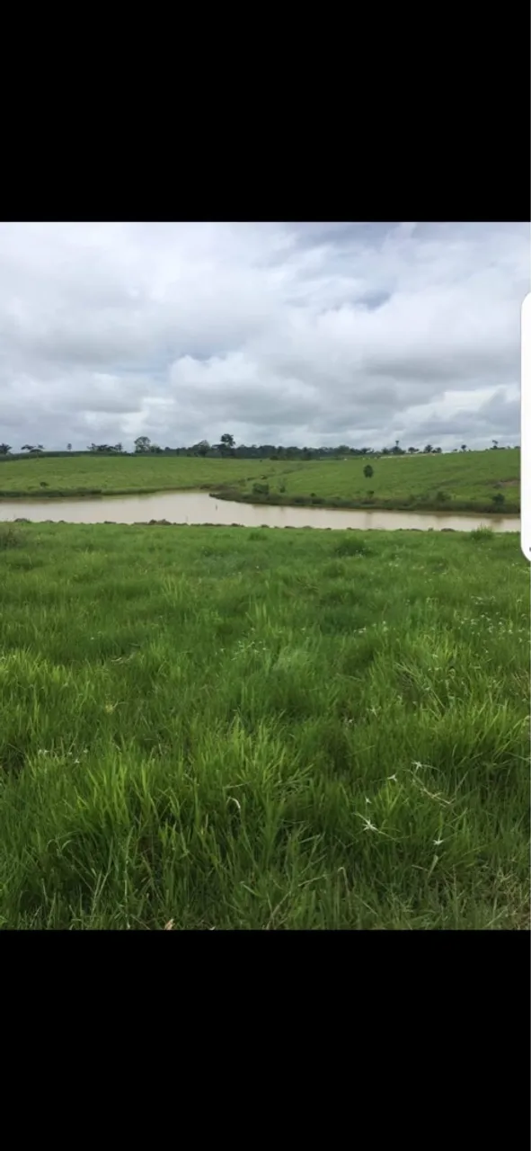 Fazenda Ac90/transacreana Km 48. Beira da estrada
