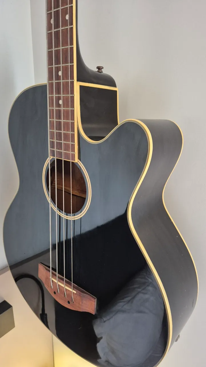 Baixolão Baixo Acústico e Elétrico