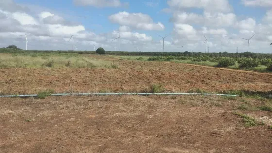 Excelente fazenda com 42 hectares em são Miguel do gostoso