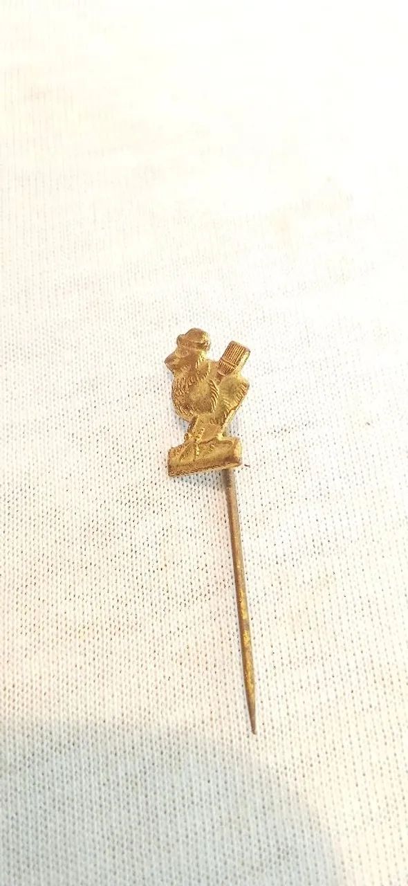 Pin de Coleção broche campanha carvalho Pinto 