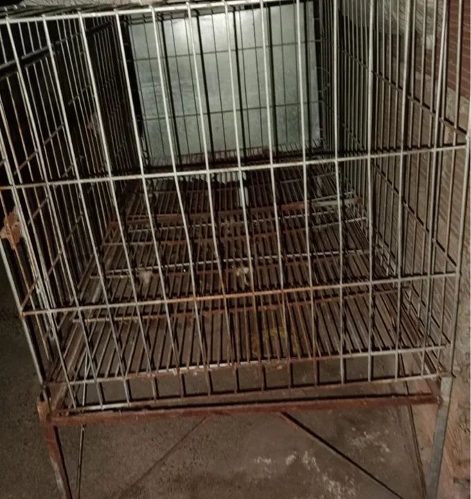 Gaiola de Metal para Animais