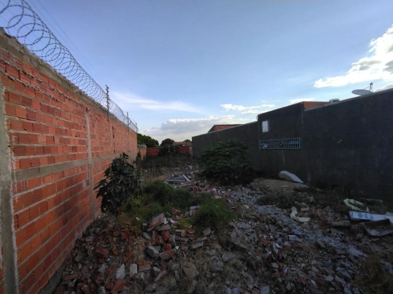 TERRENO - ALUGUEL - Foto 3