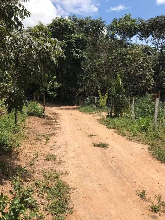Chácara 5 mil metros em Bela vista 