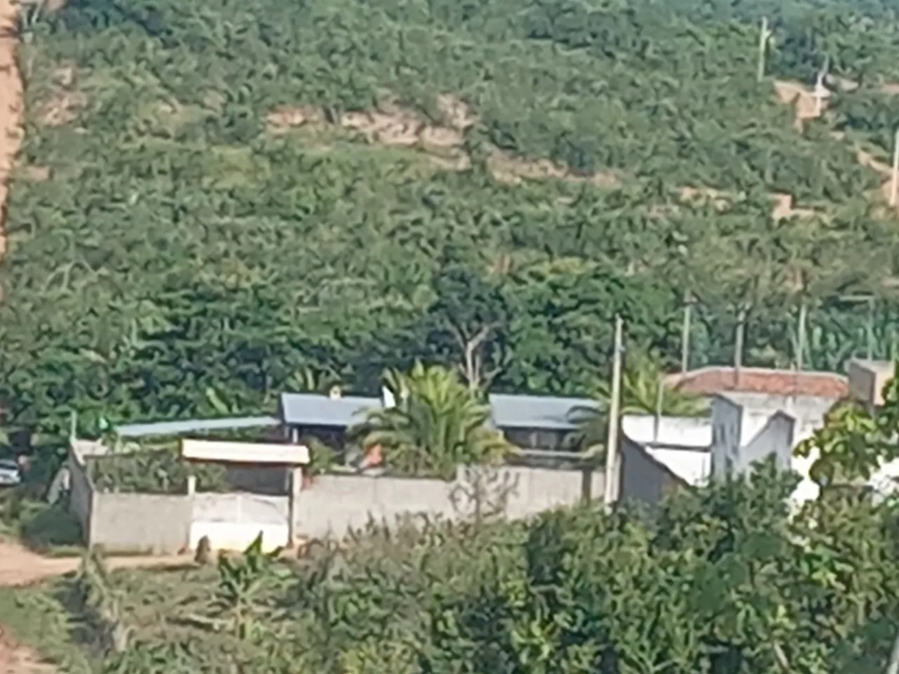 Venda