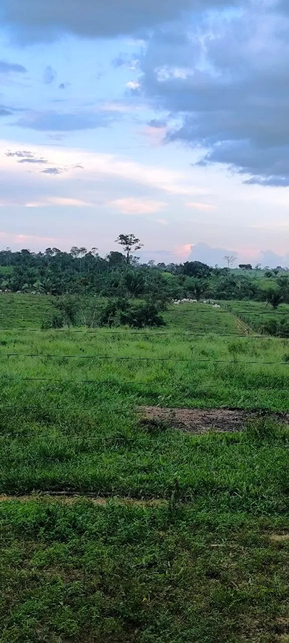 Uma colônia nas alcoobras, ramal batista , vendo ou troco por casa em rio branco