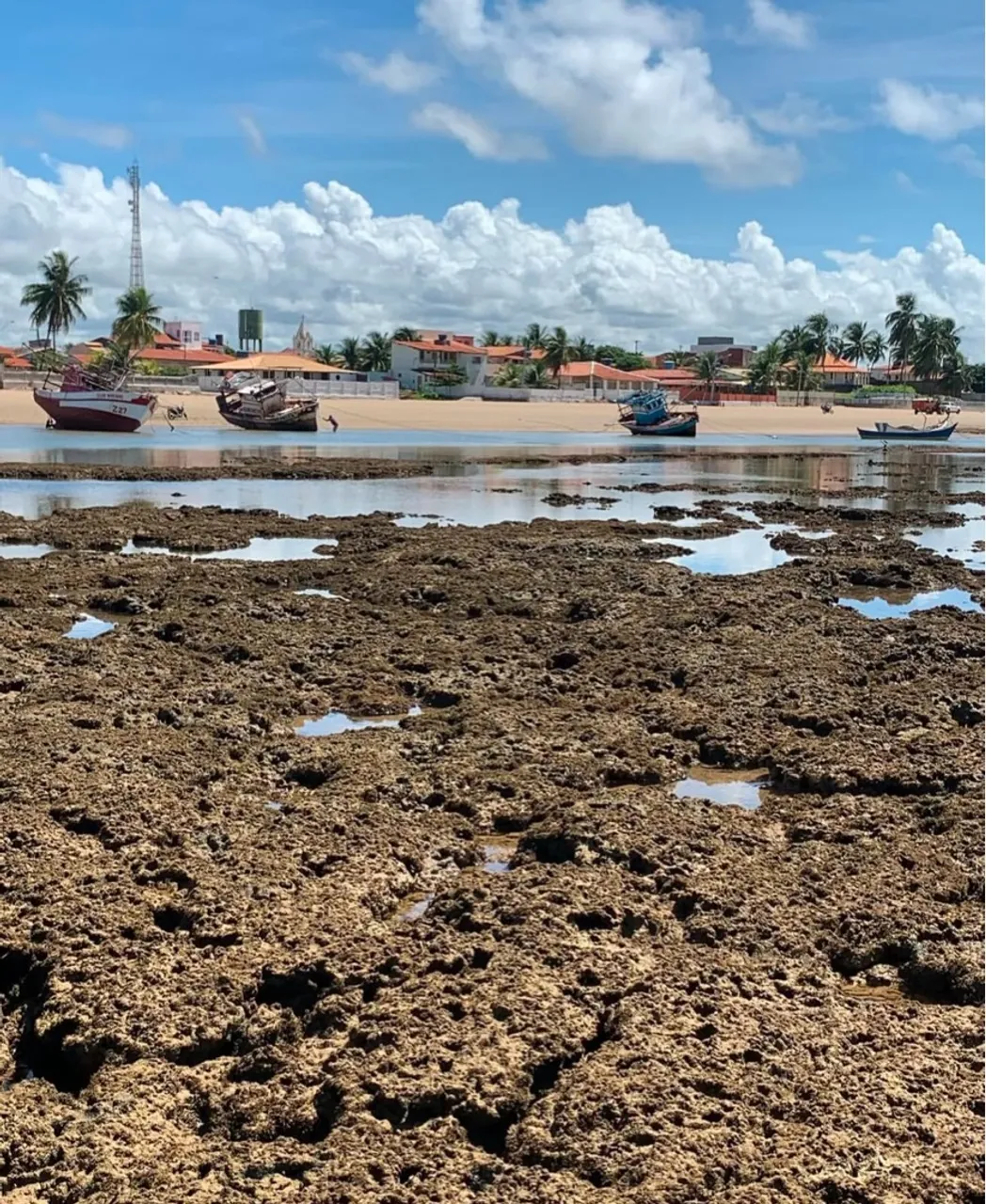 Terrenos a venda em Pontal do Peba, Piaçabuçu/Alagoas