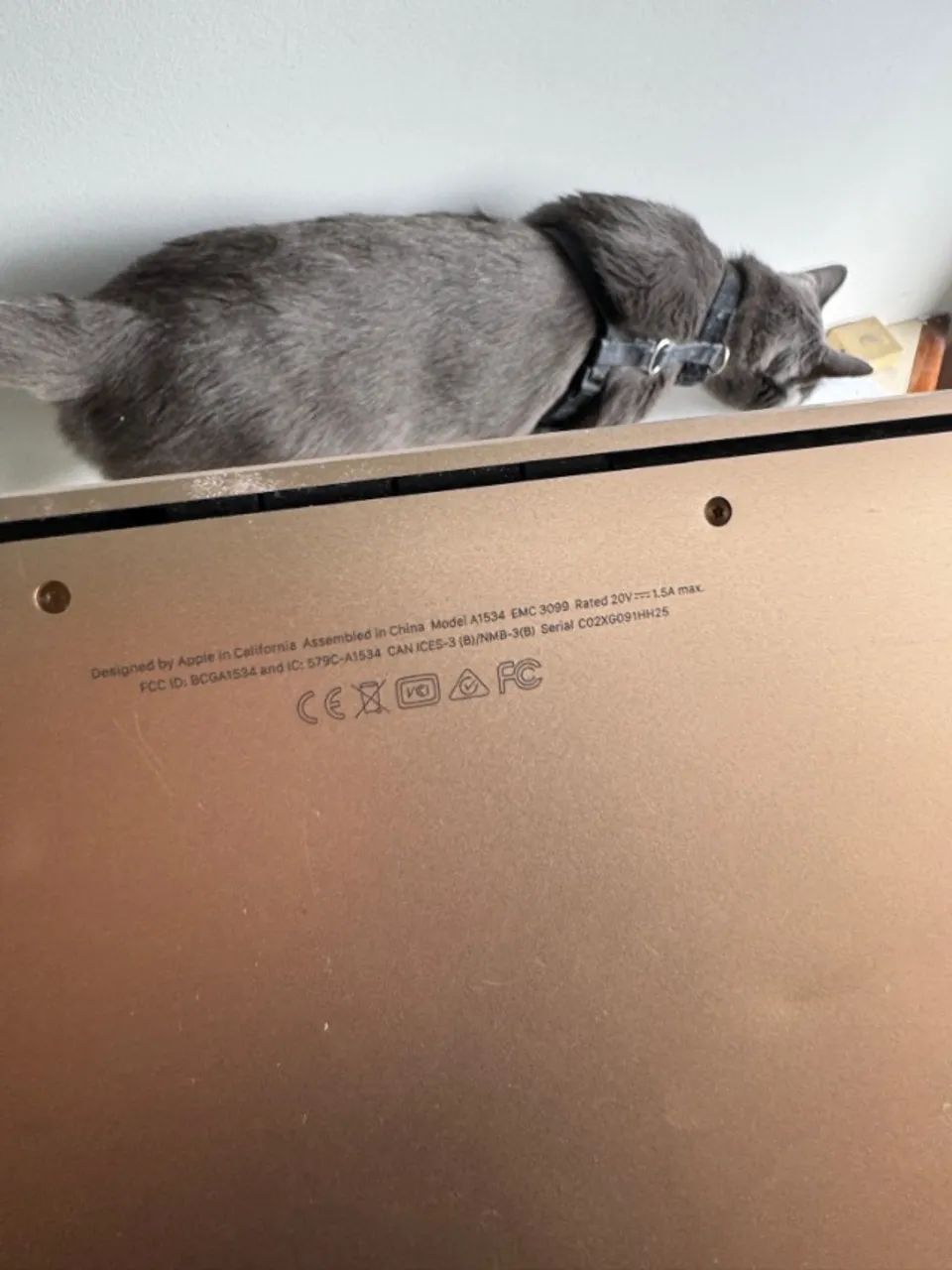 MacBook 12 Gold 2017 - Foto 5