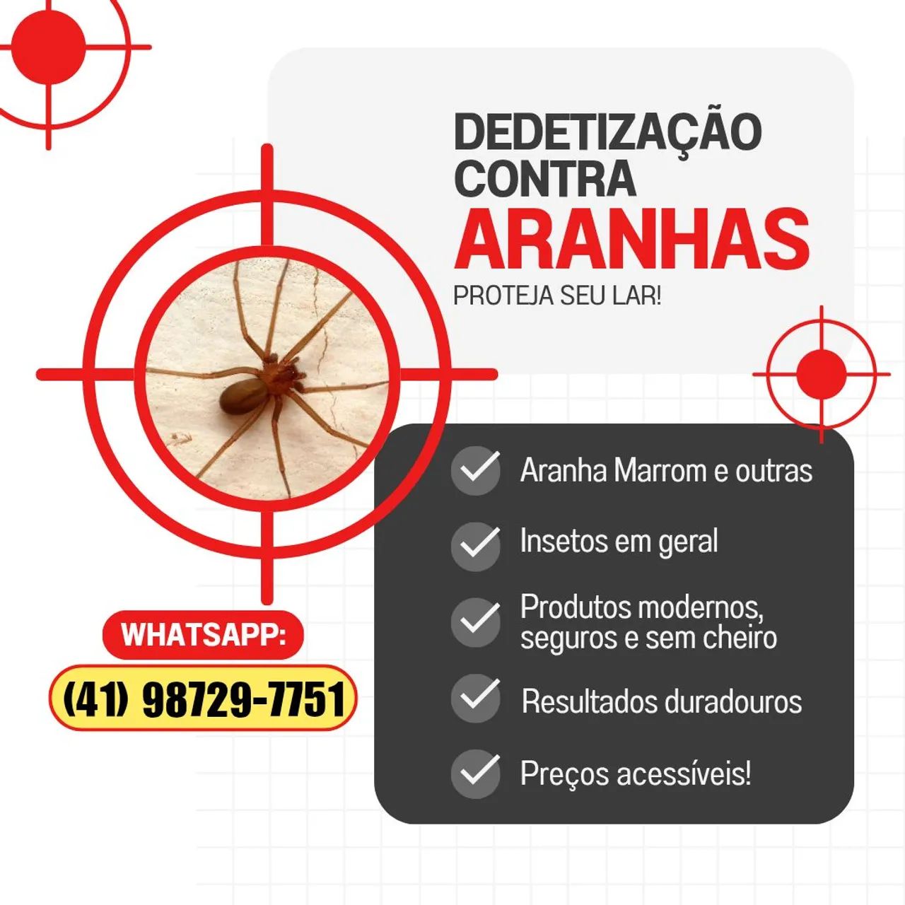 Dedetização contra Aranha Marrom, Aranhas em geral e insetos