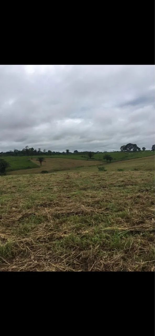 Fazenda Ac90/transacreana Km 48. Beira da estrada  - Foto 5