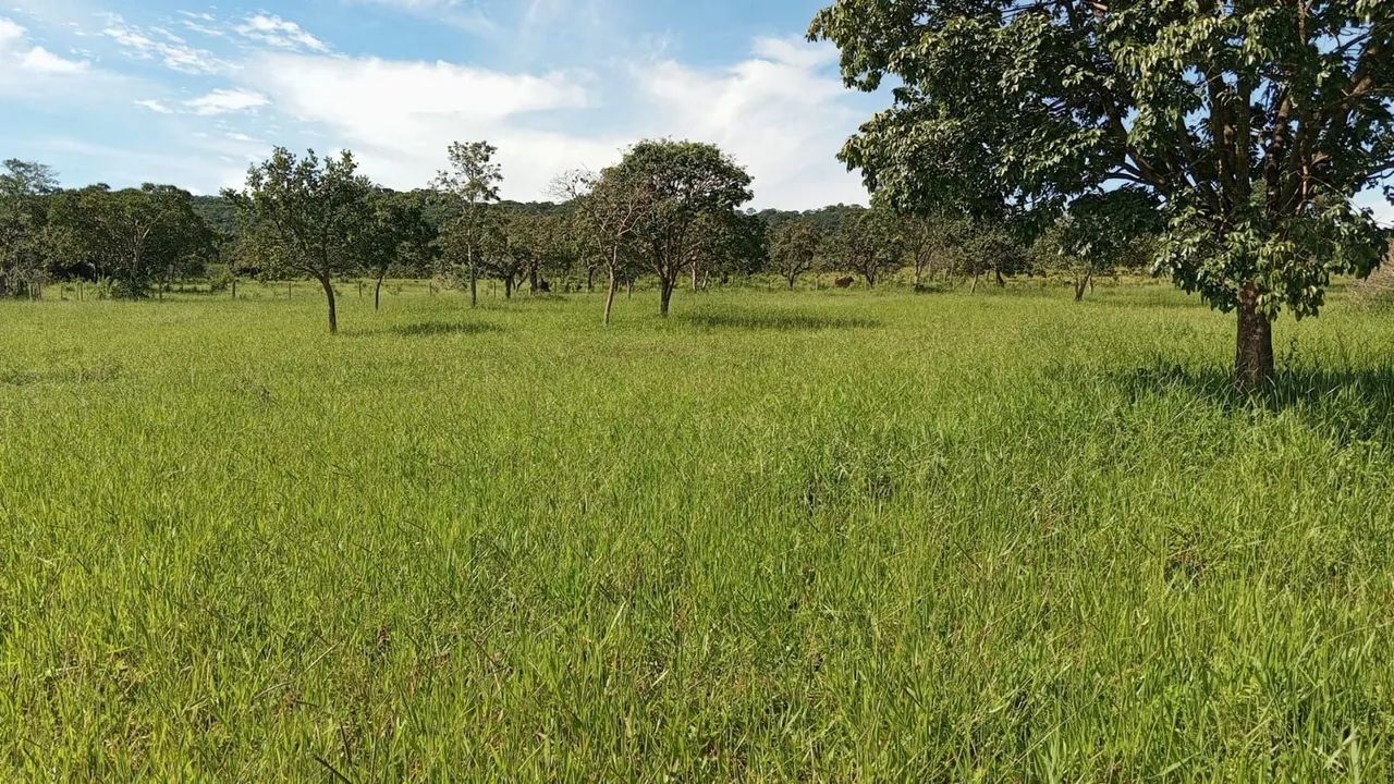 Fazenda DF Planaltina/Sobradinho  - Foto 3