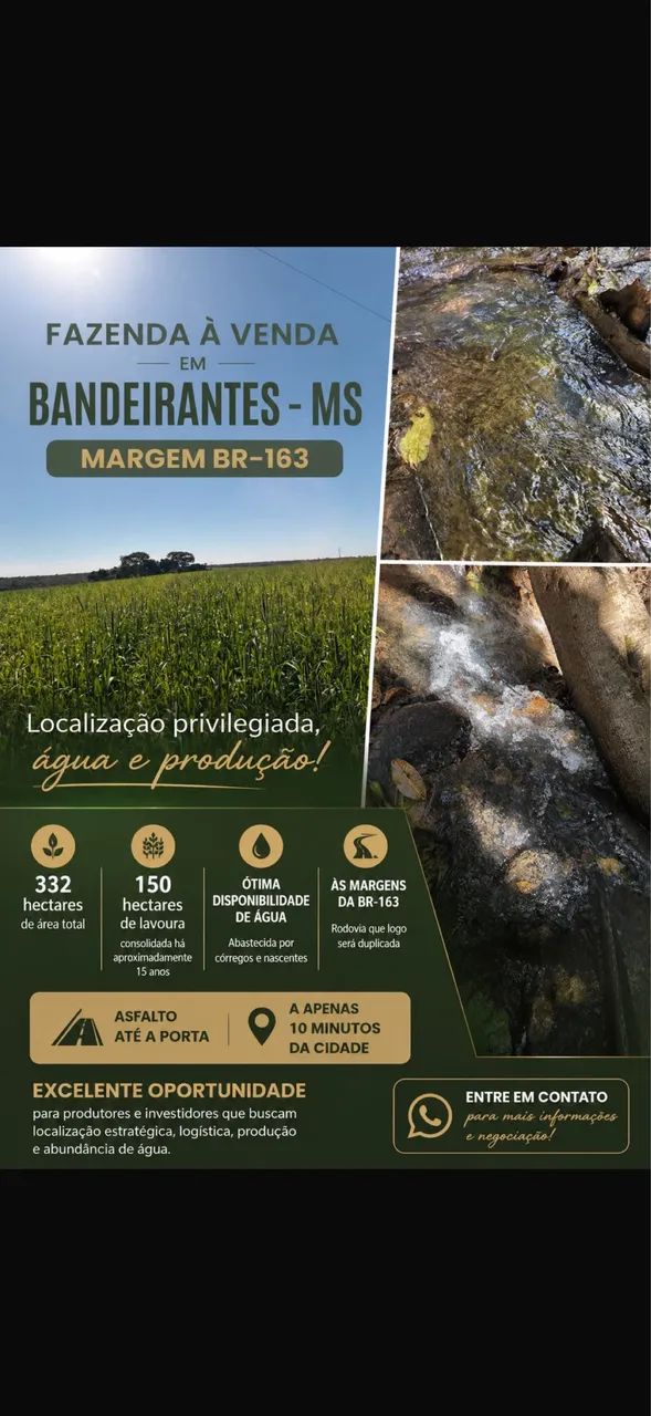 Faz em Bandeirantes  BR 163 Soja  - Foto 2