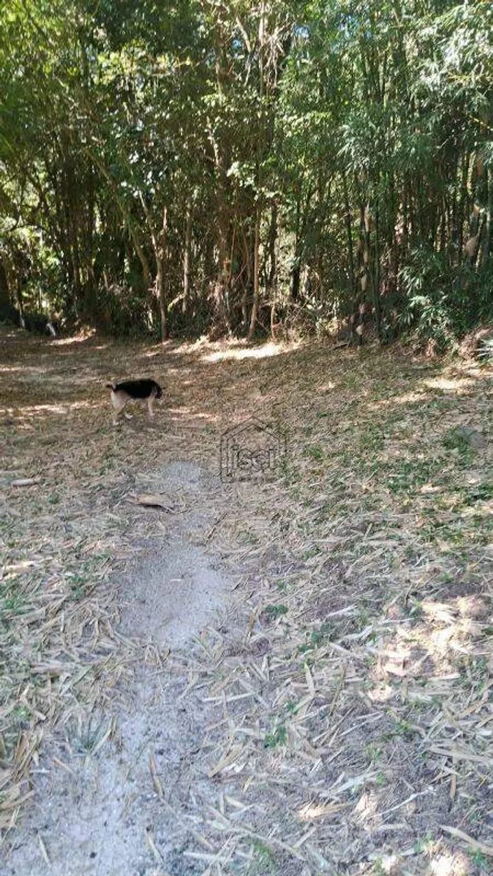 Sítio à venda, 3 quartos, Massiambú - Palhoça/SC - Foto 5