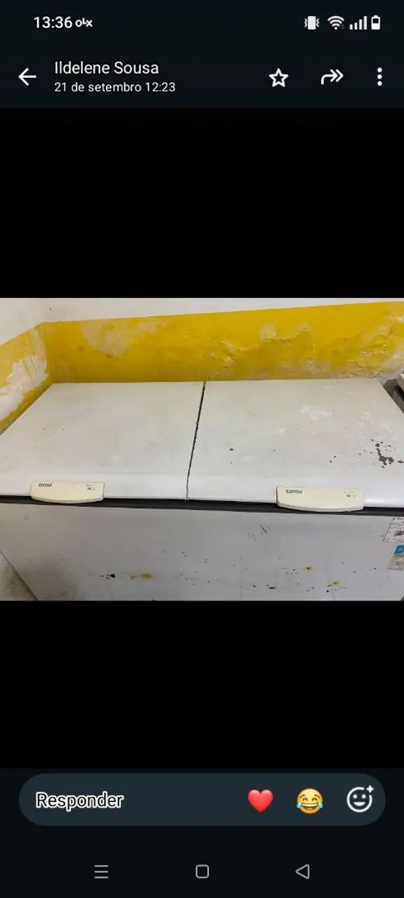 Freezer Horizontal 