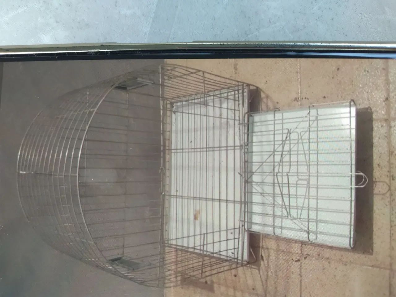 Gaiola - Foto 2