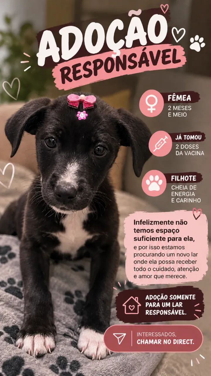 Cachorrinha 2 meses 