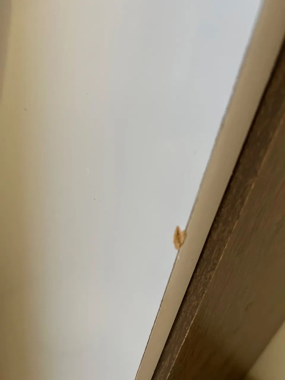 Sapateira/roupeiro - Foto 4