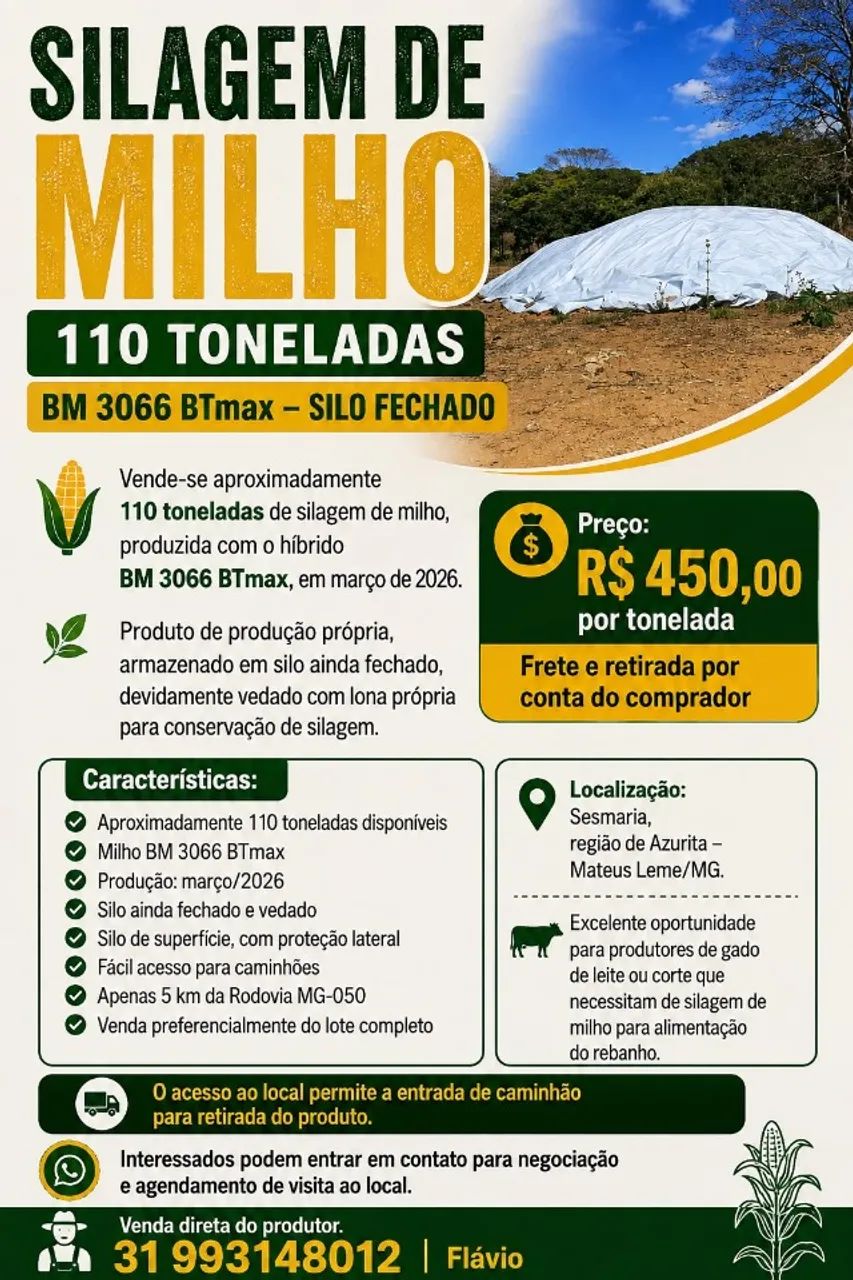 Silo de milho