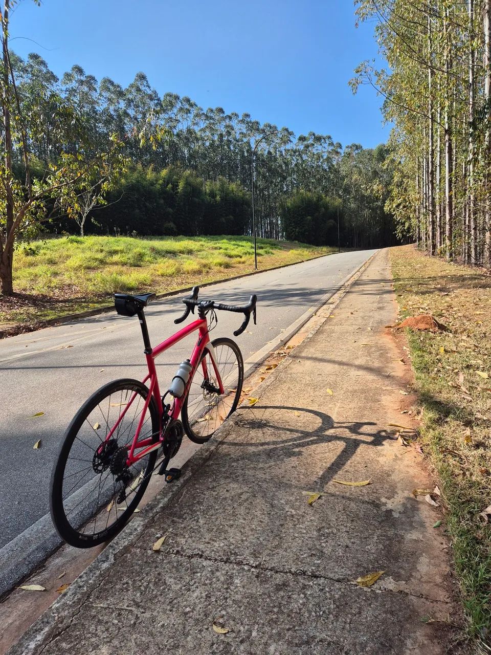 Specialized Tarmac 56