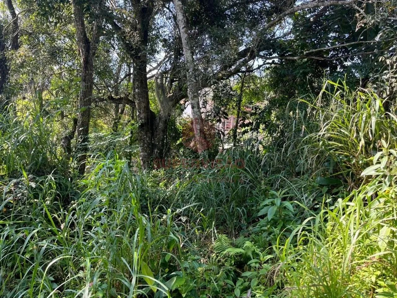 Terreno à venda, 381 m² - Pantanal - Florianópolis/SC - Foto 3