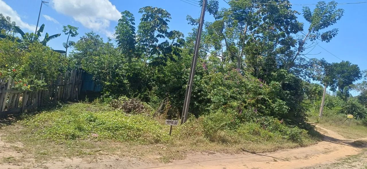 Terreno no Campo Novo