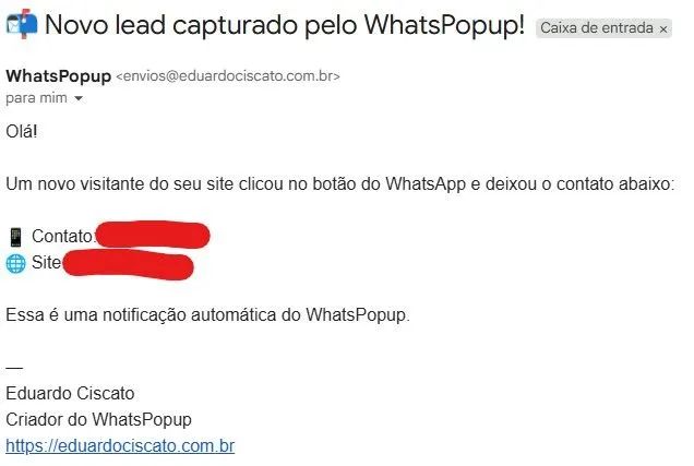 WhatsPopup ferramenta de recuperação de contatos - Foto 3