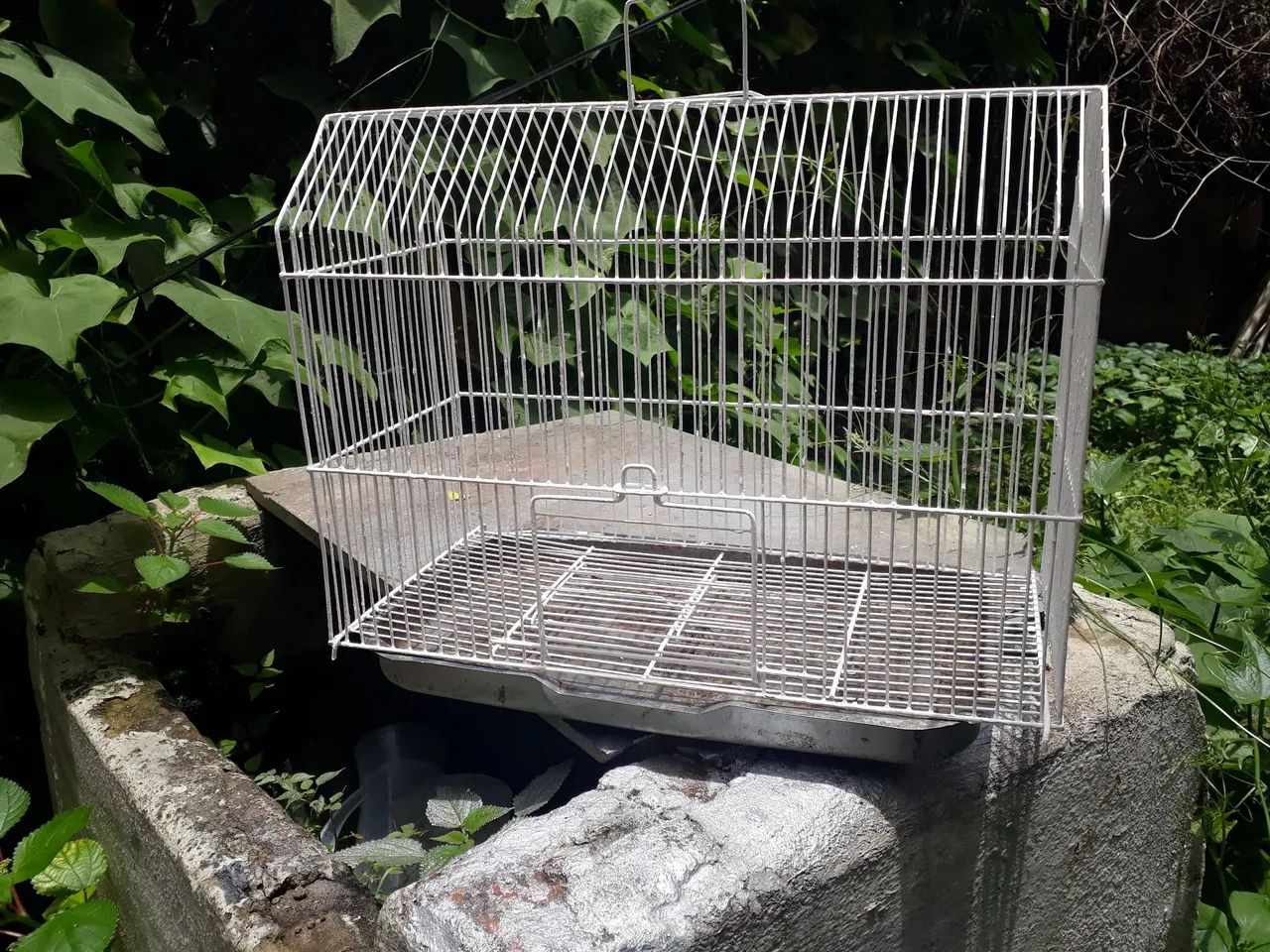 Vendo duas lindas gaiolas. Baratas - Foto 2