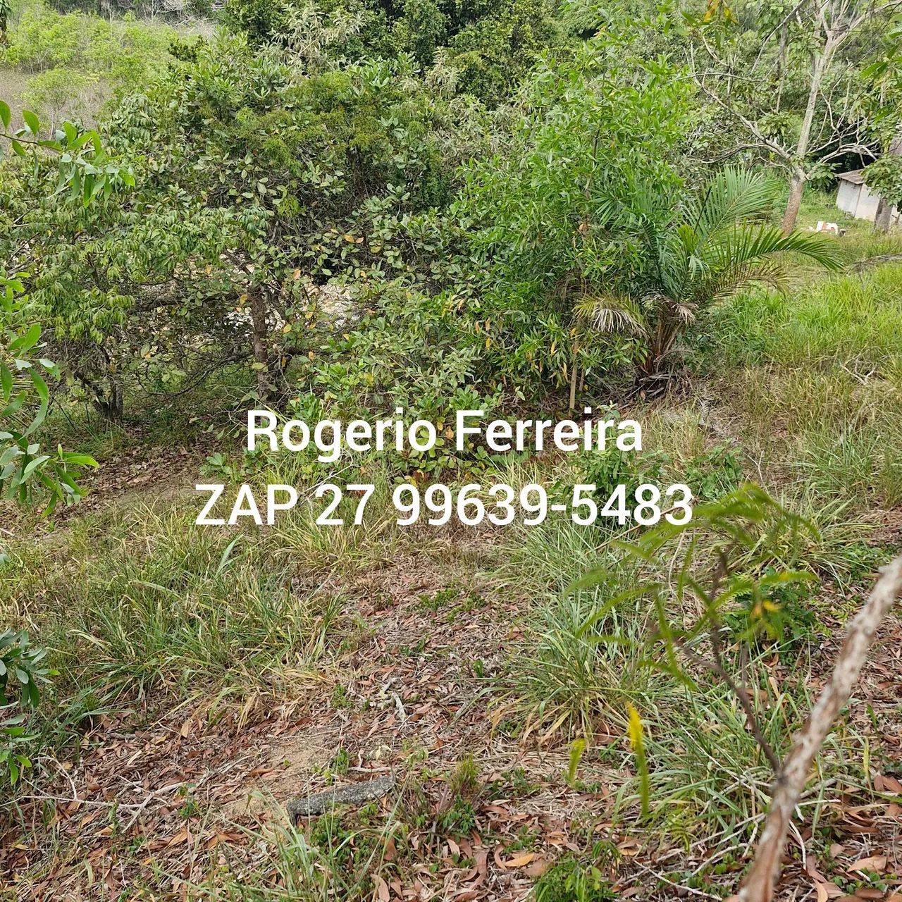 Oportunidade Chácara à Venda - Retiro do Congo  7.900m2 - Foto 5