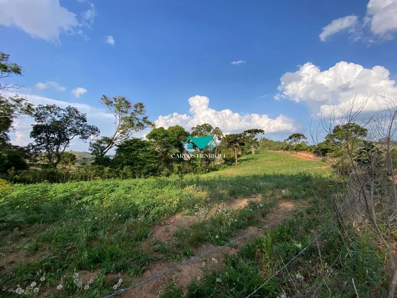 terreno de 7400m2 - Foto 5