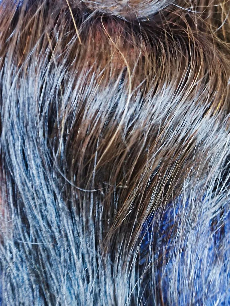 Cabelo indiano 310gr - Foto 4