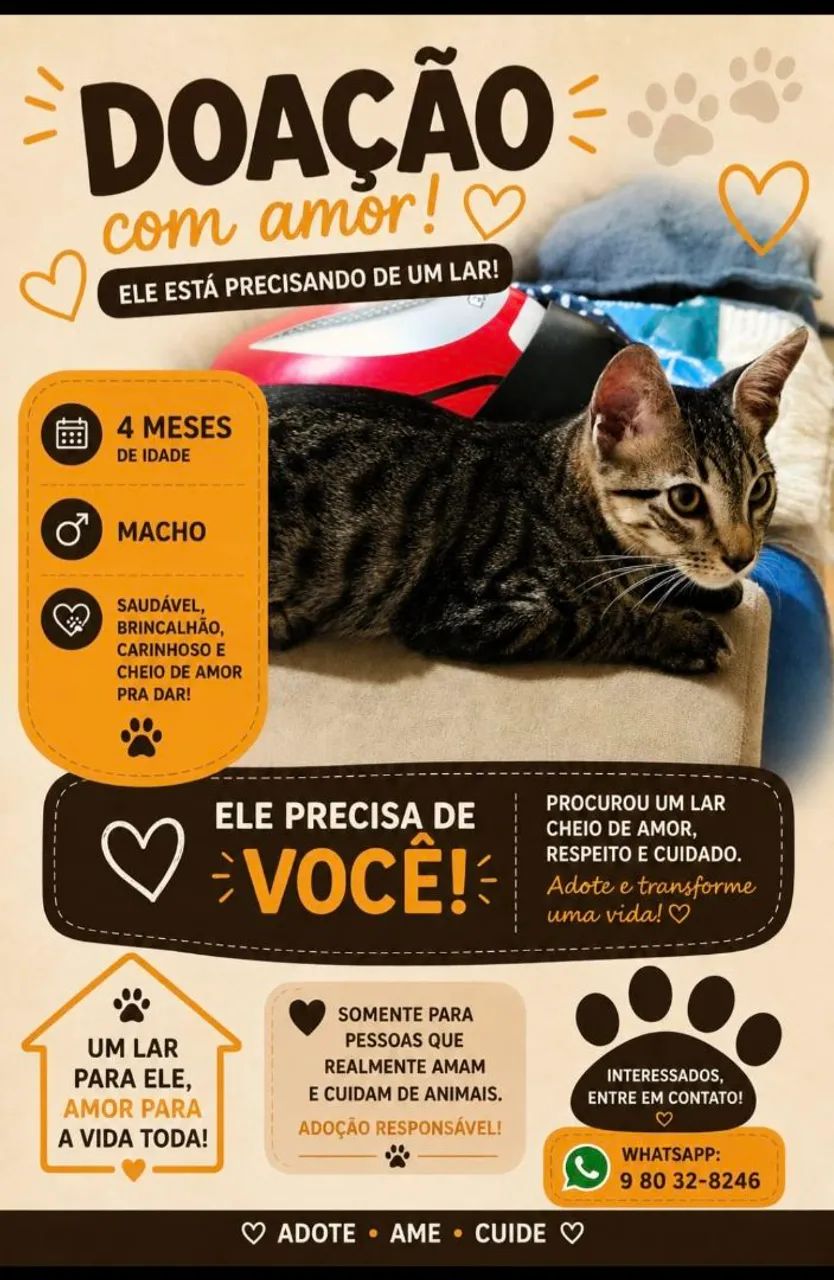 Adoção gosto macho