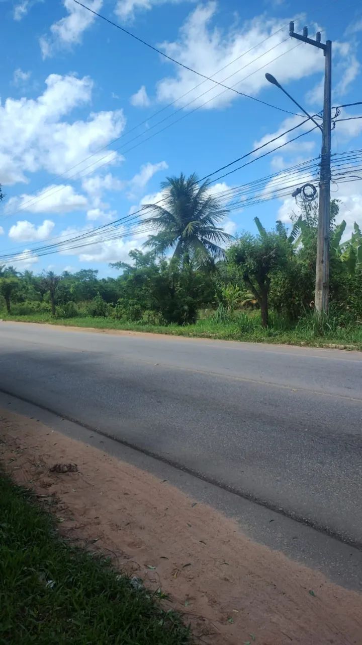 Área, Misto, TRIGUEIRO - 92.800m² - Foto 3