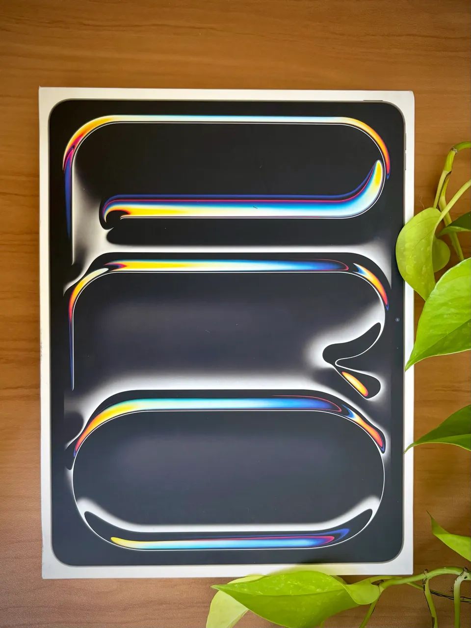 iPad Pro 13 Apple M4 - Wi-Fi - 1TB (Lacrado) - Foto 2
