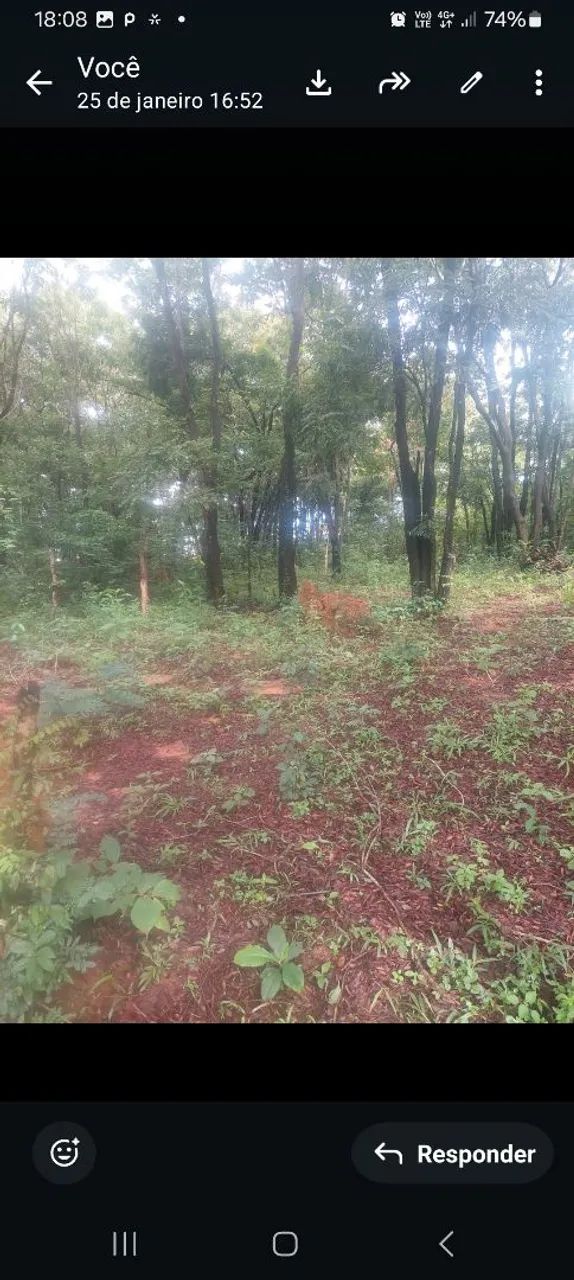 Vendo lote na reta2 250m - Foto 5