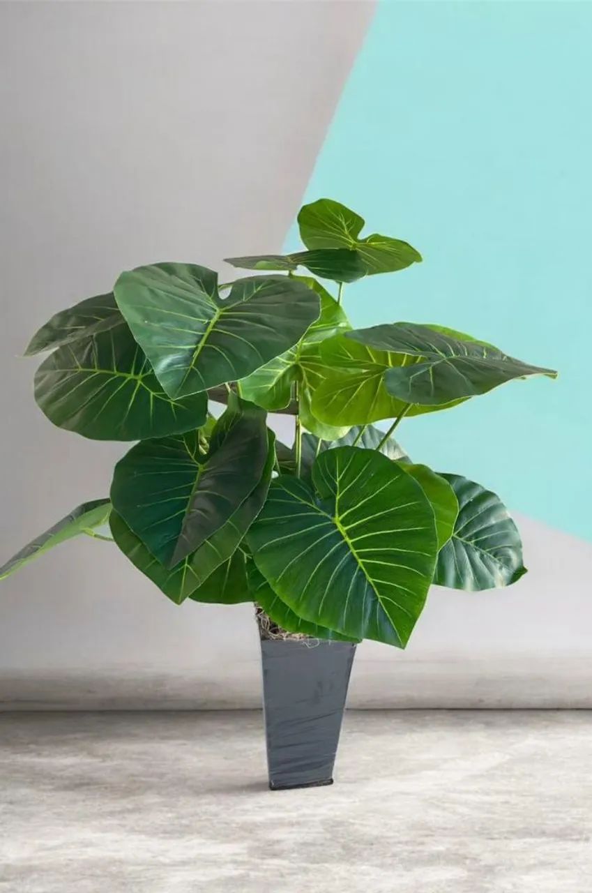 Planta decorativa artificial  - Foto 2