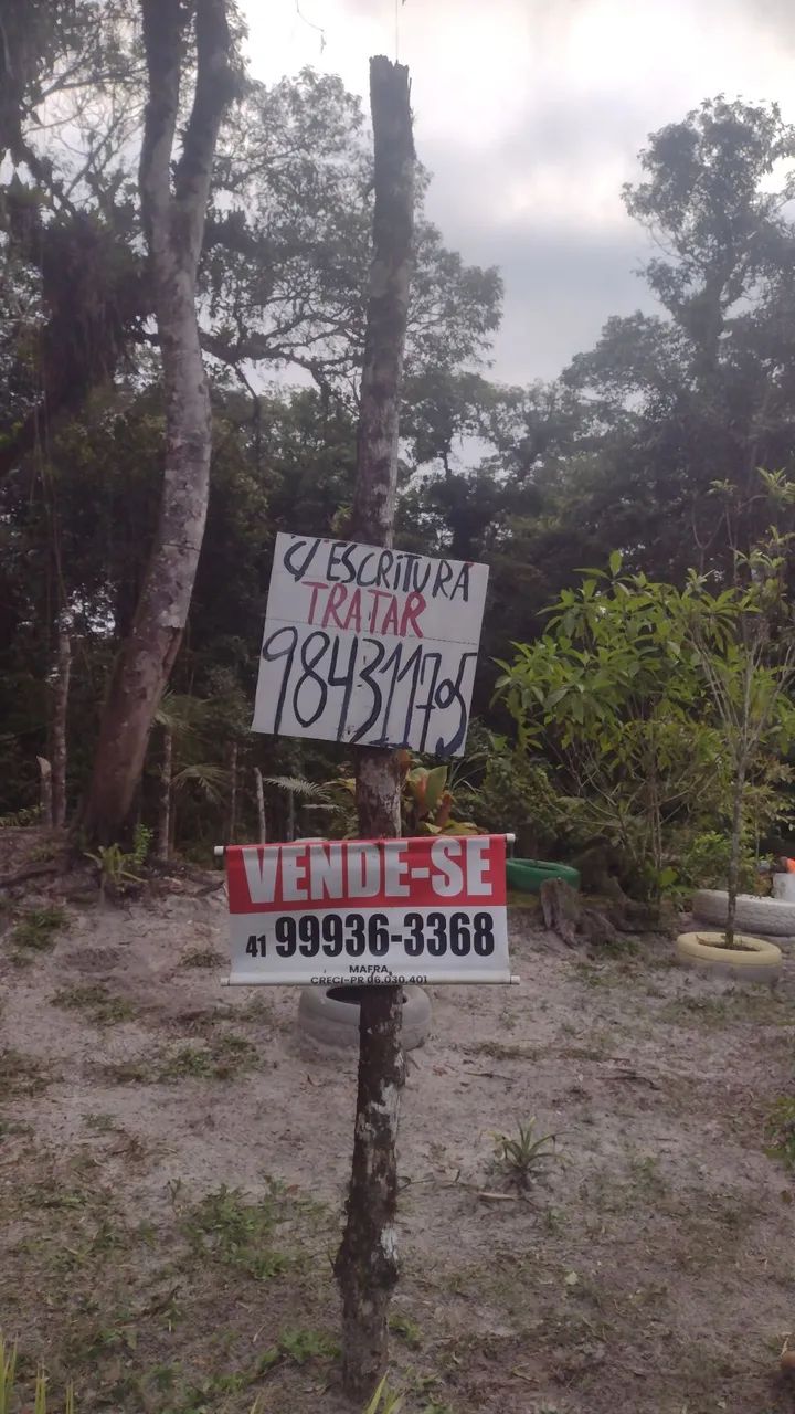 Vendo esse lote . - Foto 4