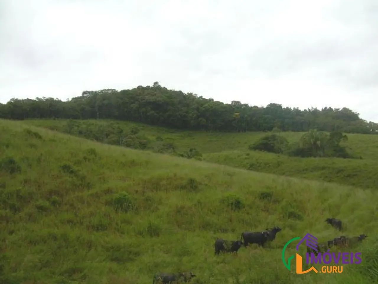 AREA - PARQUE SANTA ROSA - SP - Foto 2