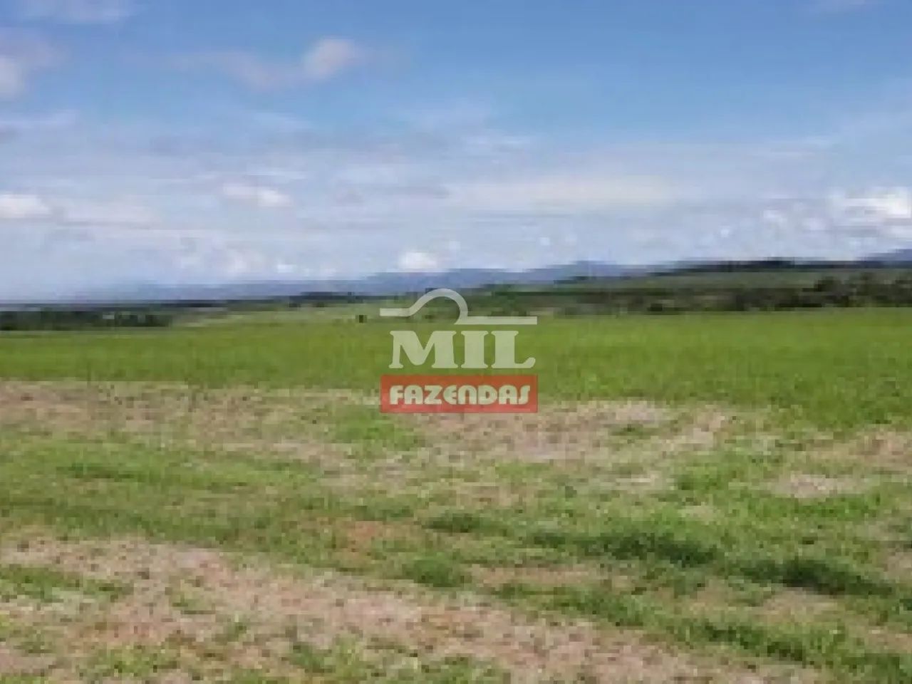 Fazenda em Porangatu-GO. - Foto 2