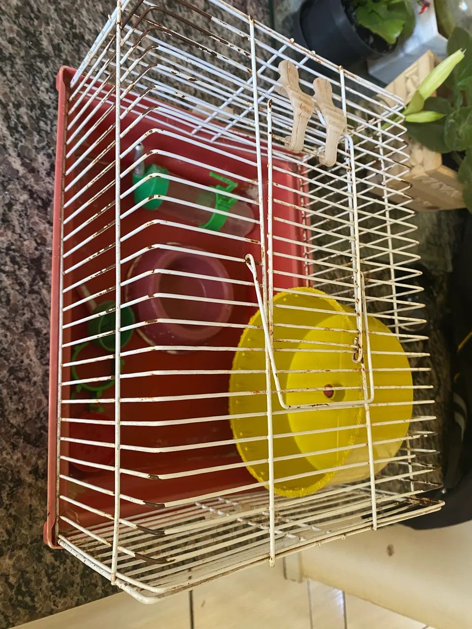 Gaiola