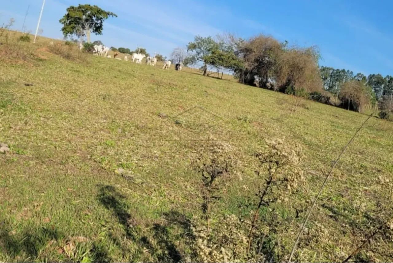 Rural Sitio em Adamantina - Foto 2