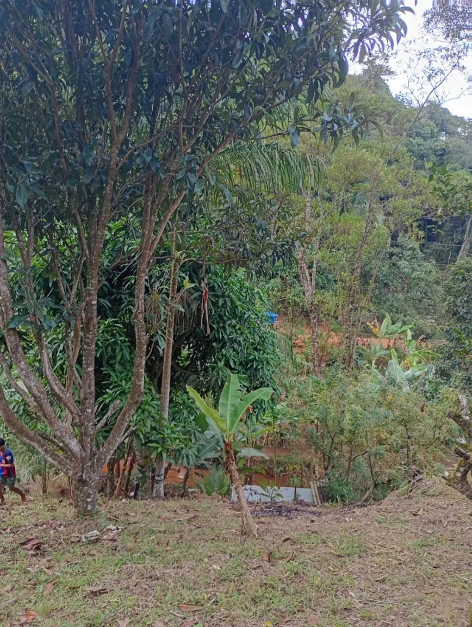 Chacara com casa  - Foto 4