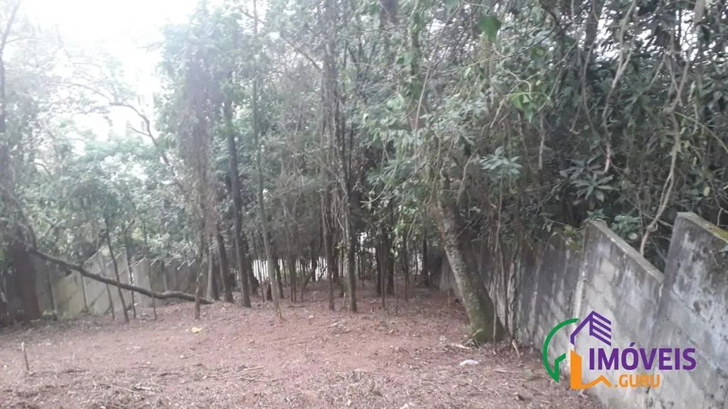 TERRENO - BUTANTÃ - SP - Foto 4