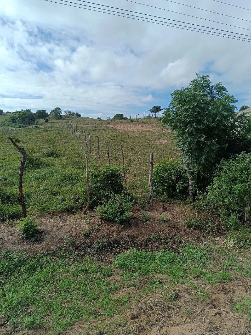 Terreno  - Foto 2