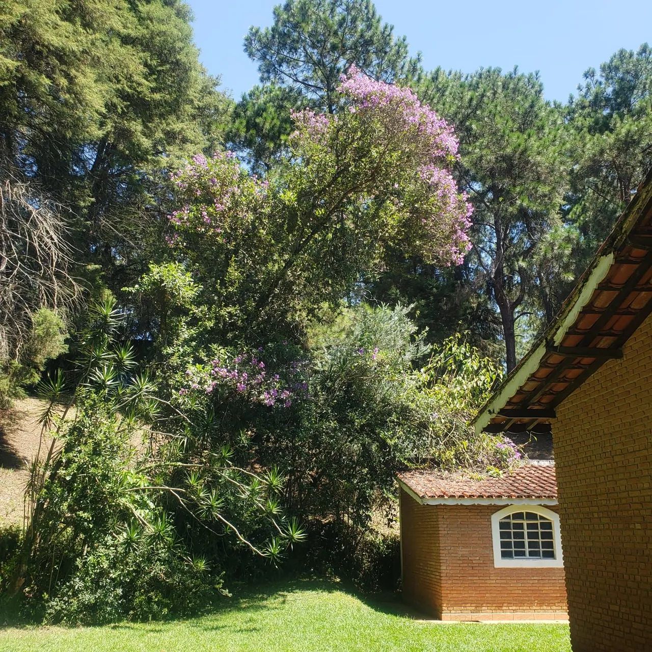 Chácara Bragança 4 dorm - Foto 2