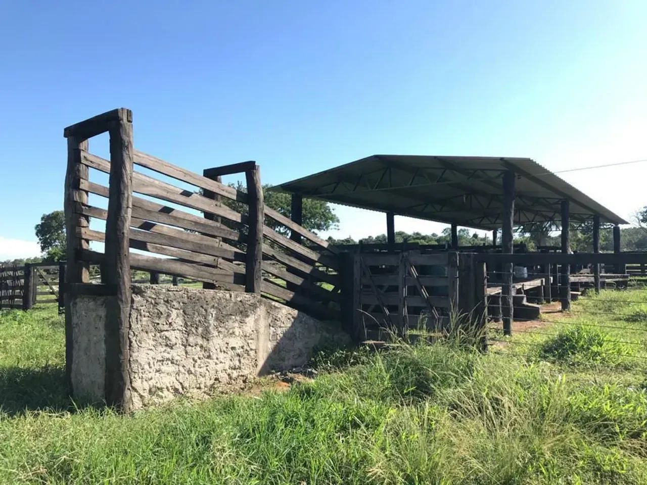 FAZENDA EM NOVA CRIXÁS GO - 55 ALQUEIRES - Foto 3