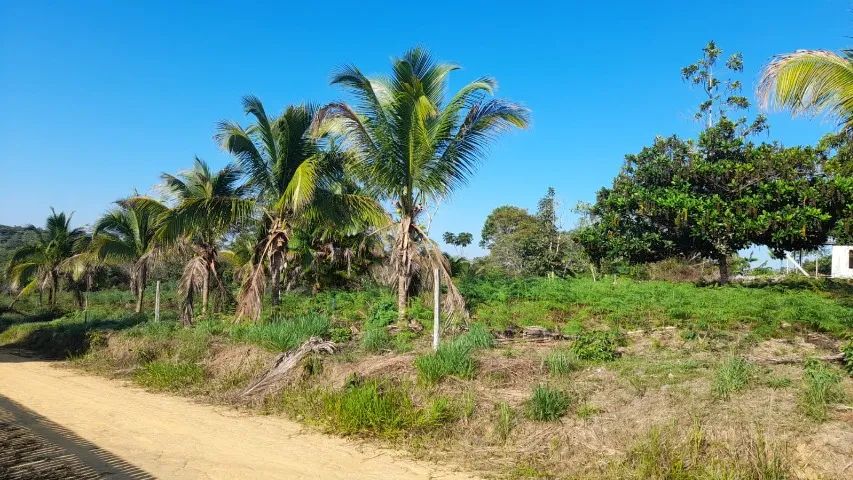 TERRENO - Ao lado da Universidade